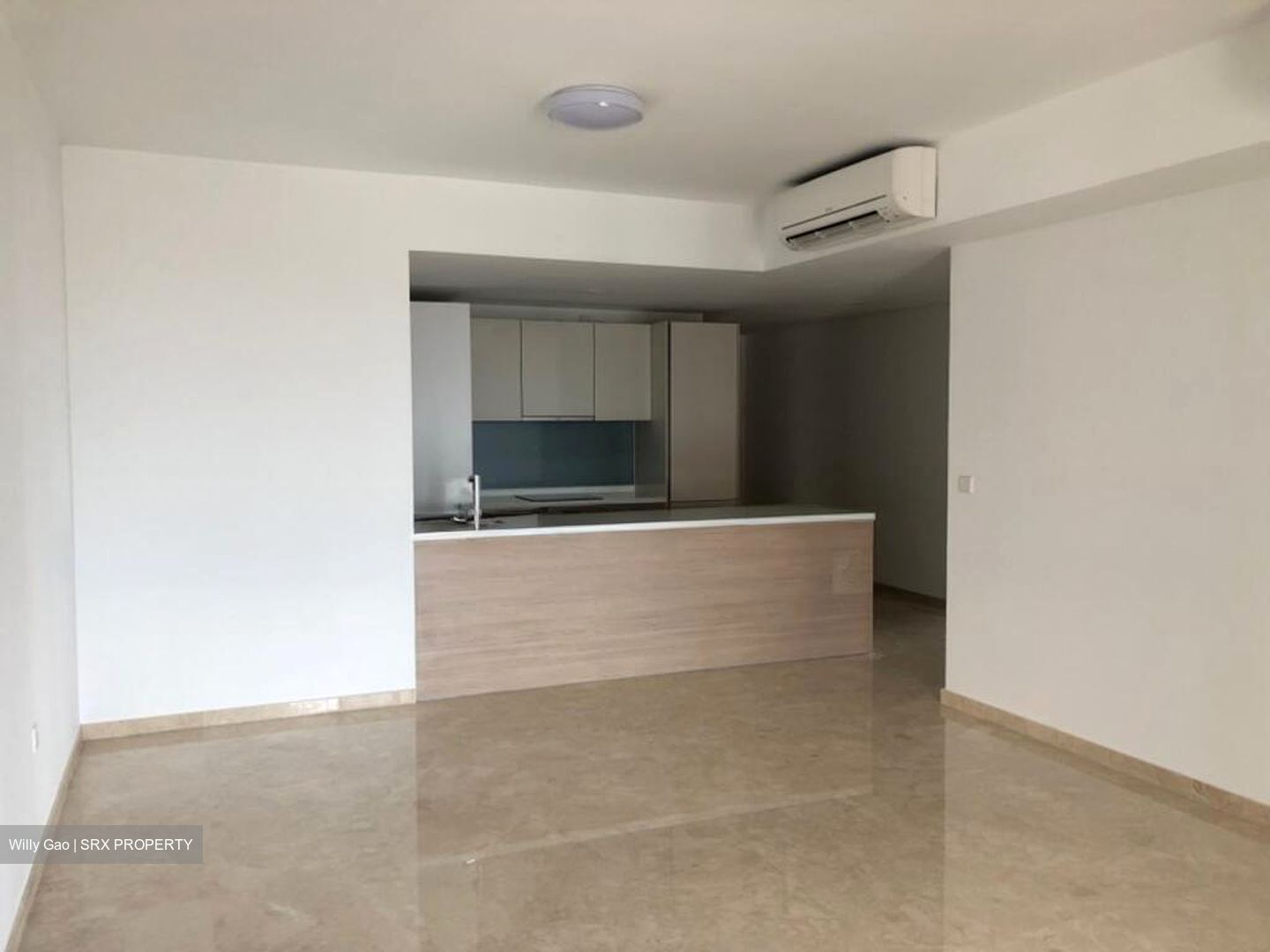 V On Shenton (D1), Apartment #497078261
